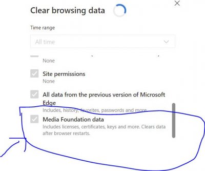 Media Foundation data Cleaning in Edge Browser